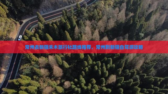 常州去新疆禾木旅行社