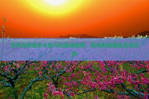 常州去新疆禾木旅行社