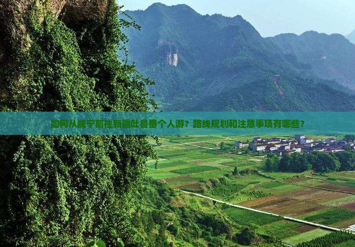 咸宁去新疆吐鲁番个人游