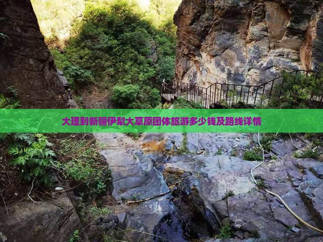 大理到新疆伊犁大草原团体旅游
