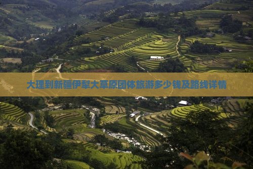 大理到新疆伊犁大草原团体旅游