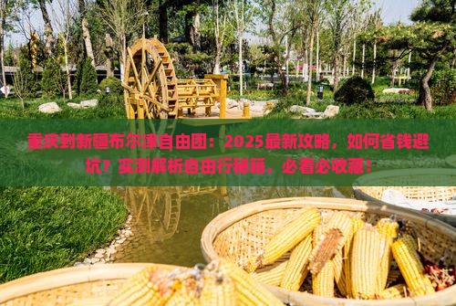 重庆到新疆布尔津自由团