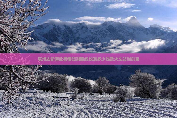 亳州去新疆吐鲁番旅游