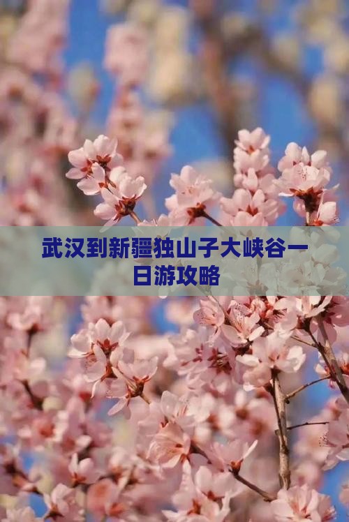 武汉到新疆独山子大峡谷一日