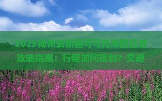 扬州去新疆可可托海四日游