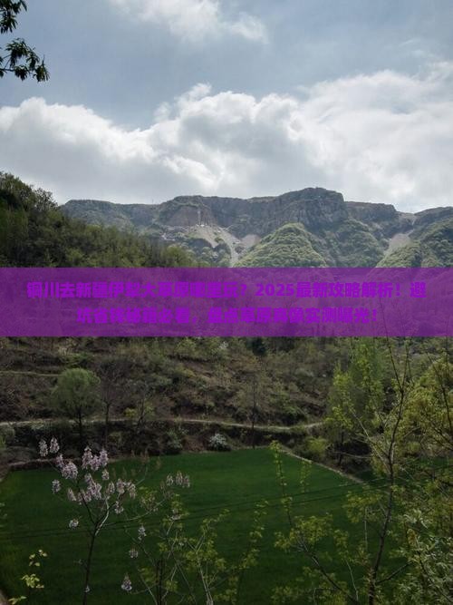 铜川去新疆伊犁大草原哪里玩