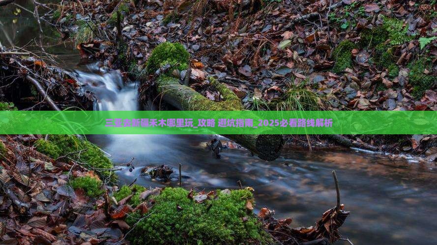 三亚去新疆禾木哪里玩