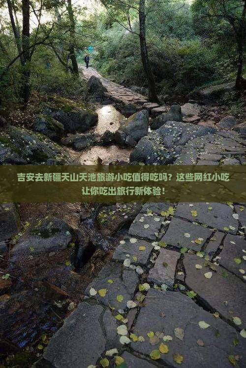 吉安去新疆天山天池旅游小吃