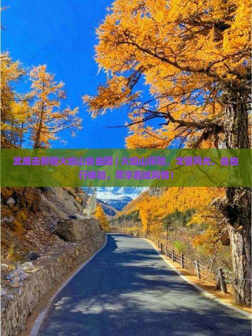 武威去新疆火焰山自由团