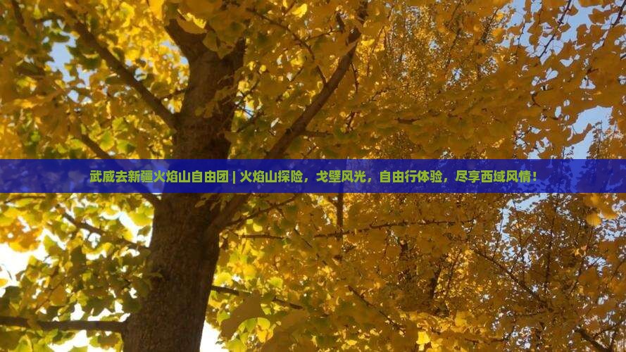 武威去新疆火焰山自由团