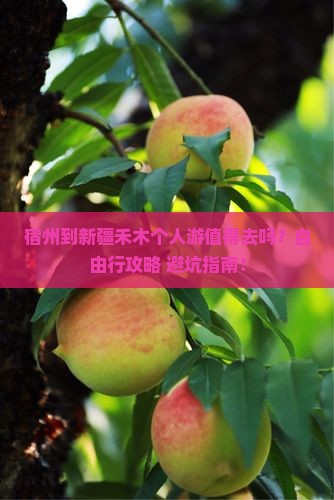 宿州到新疆禾木个人游