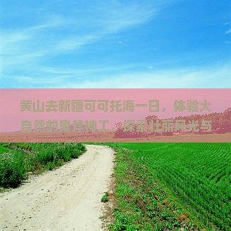 黄山去新疆可可托海一日