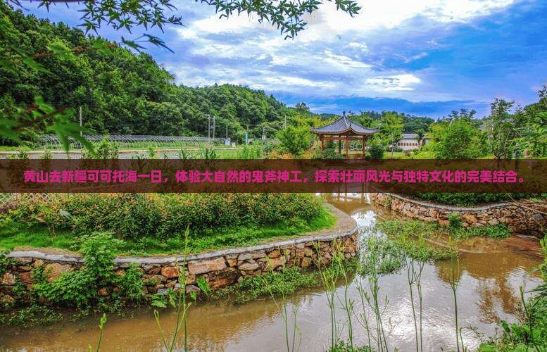 黄山去新疆可可托海一日