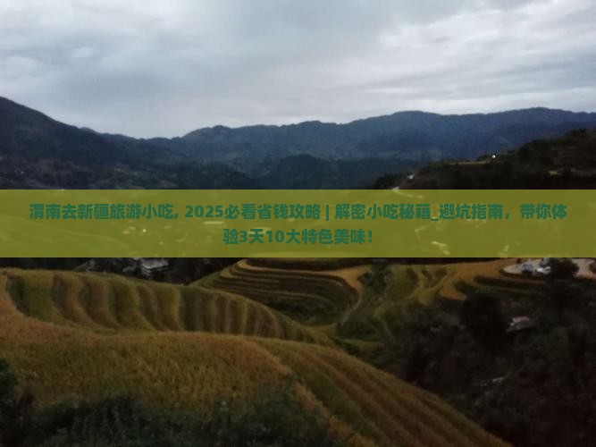 渭南去新疆旅游小吃