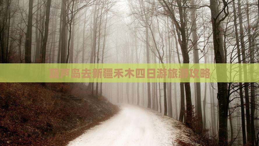 葫芦岛去新疆禾木四日游