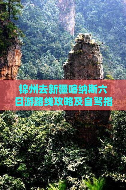 锦州去新疆喀纳斯六日游