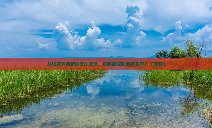 张家界去新疆天山天池攻略