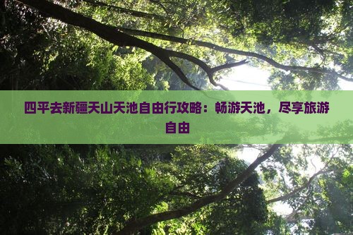 四平去新疆天山天池自由行