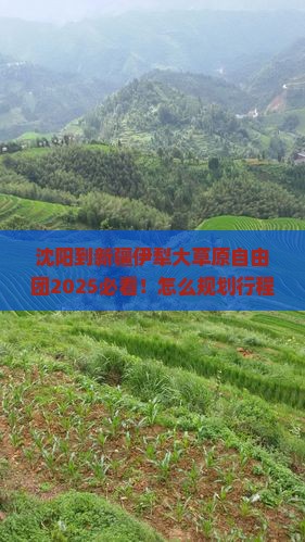 沈阳到新疆伊犁大草原自由团