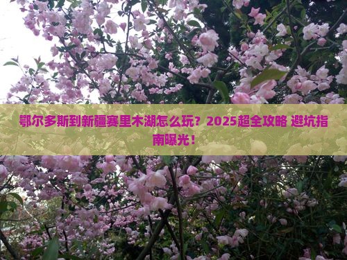 鄂尔多斯到新疆赛里木湖大型旅游团