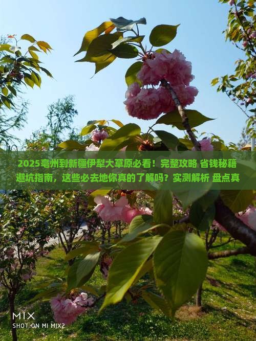 亳州到新疆伊犁大草原必去地