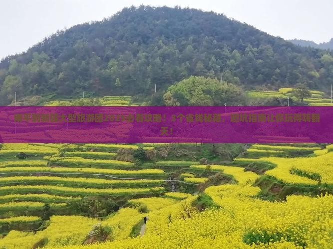 南平到新疆大型旅游团