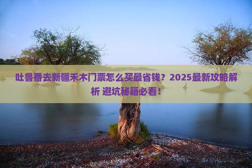 吐鲁番去新疆禾木门票