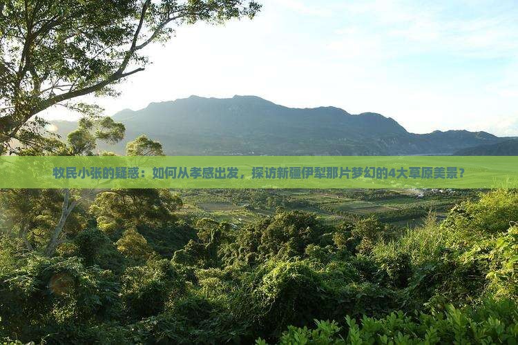 孝感到新疆伊犁大草原景点