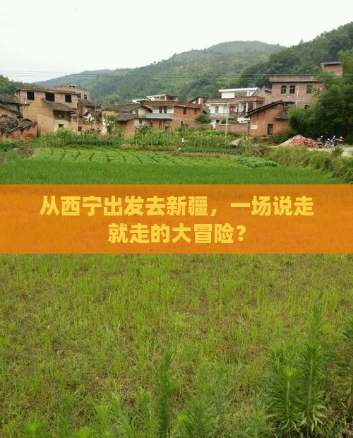 西宁去新疆大型旅游团