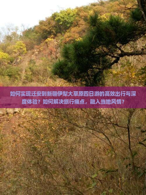 迁安到新疆伊犁大草原四日游