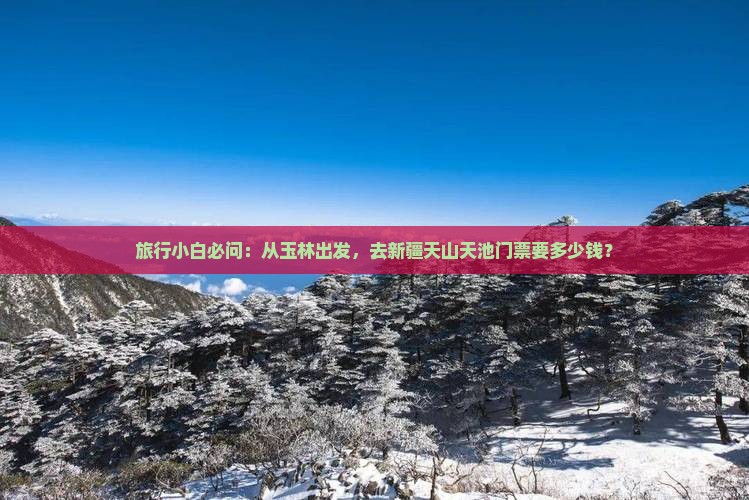 玉林到新疆天山天池门票