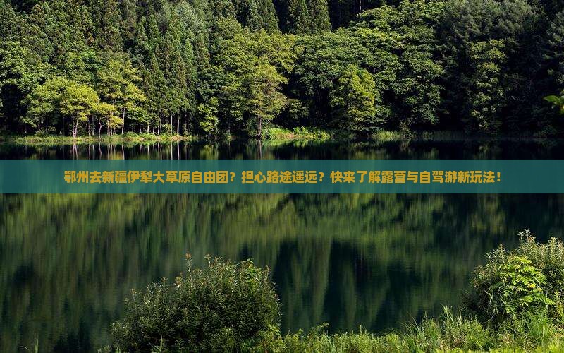 鄂州去新疆伊犁大草原自由团