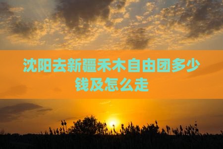 沈阳去新疆禾木自由团