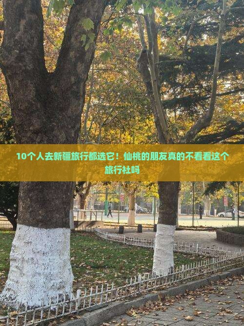 仙桃去新疆布尔津旅行社
