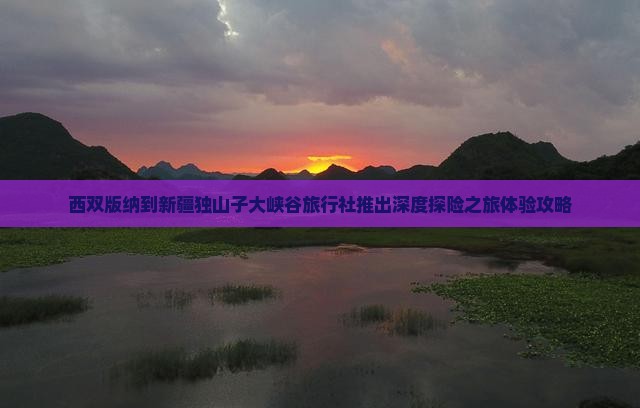 西双版纳到新疆独山子大峡谷旅行社