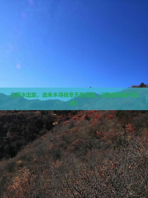 丽水去新疆禾木二日游