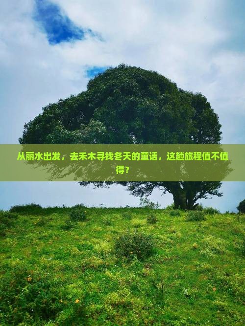 丽水去新疆禾木二日游