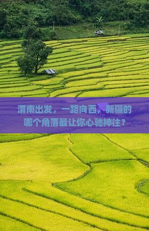 渭南去新疆哪里玩