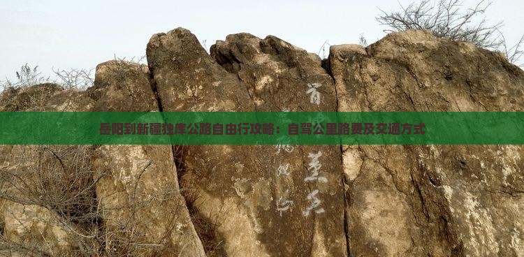 岳阳到新疆独库公路自由行