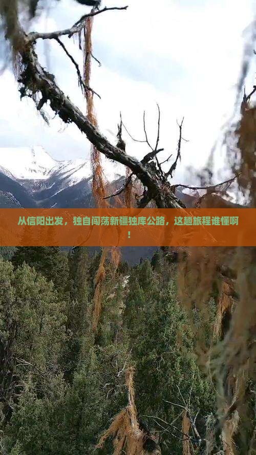 信阳到新疆独库公路自由行
