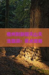 梧州到新疆天山天池旅游