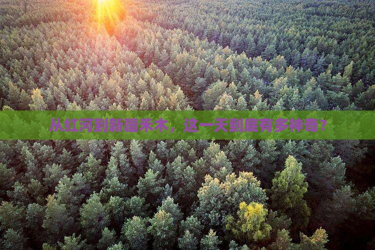 红河到新疆禾木一日