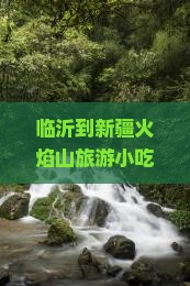 临沂到新疆火焰山旅游小吃
