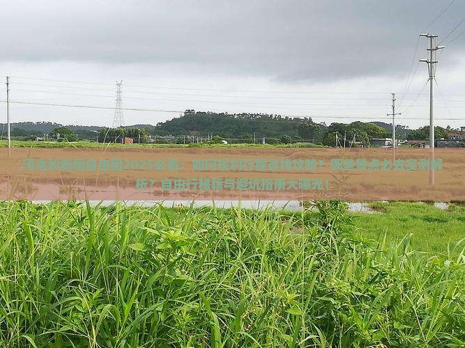 河池到新疆自由团