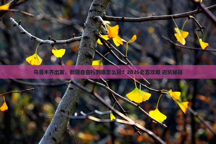 乌鲁木齐去新疆自由行
