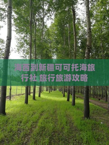 海西去新疆可可托海旅行社
