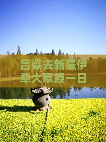 吕梁去新疆伊犁大草原一日