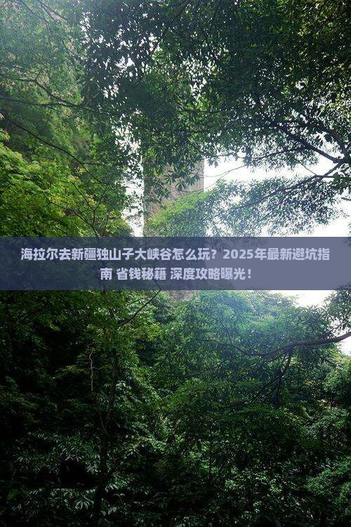 海拉尔去新疆独山子大峡谷哪里玩