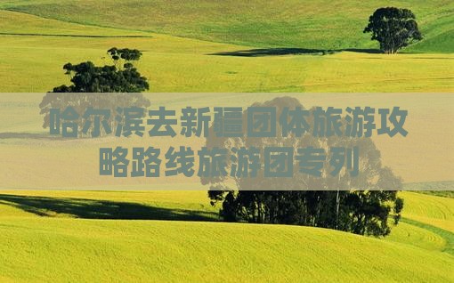 哈尔滨去新疆团体旅游