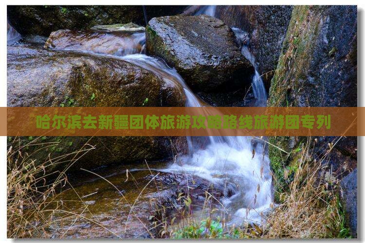 哈尔滨去新疆团体旅游